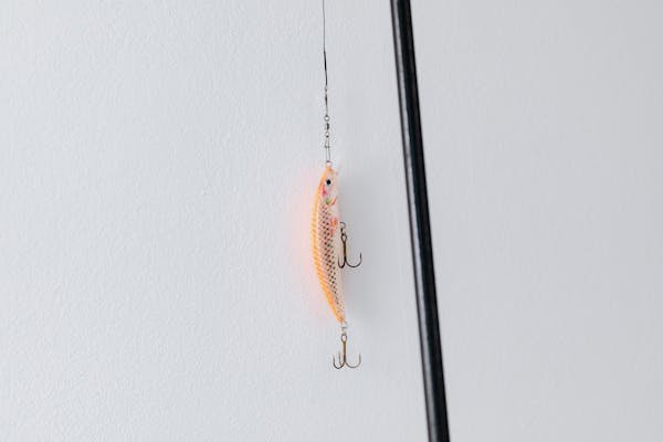 Top endroits pour acheter des articles de pêche à paris